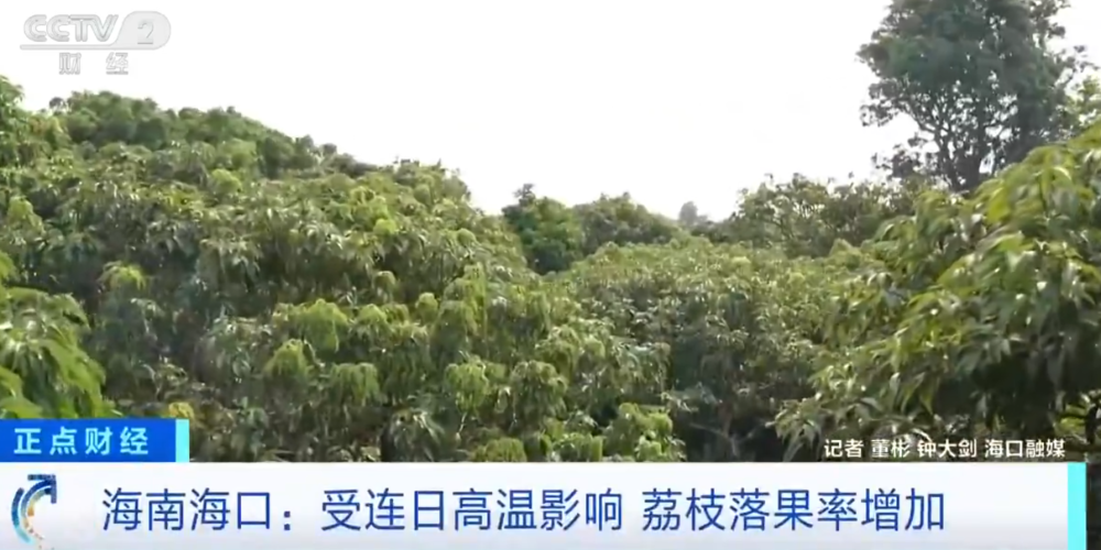 爱游戏体育官方网站-大范围持续性高温天气，局地达到40℃以上，海南：热到荔枝都自闭了